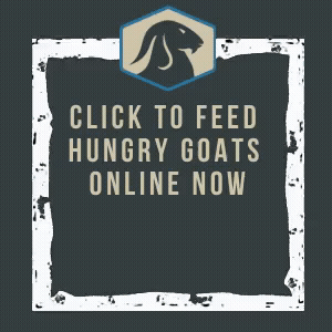 Feed Hungry Goats Now :)